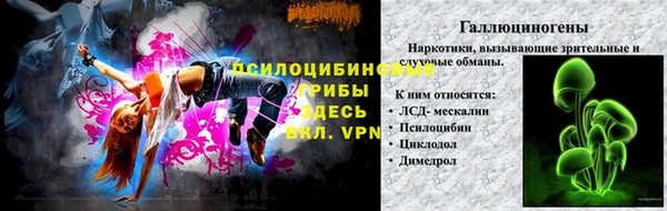 молекула духа Аркадак
