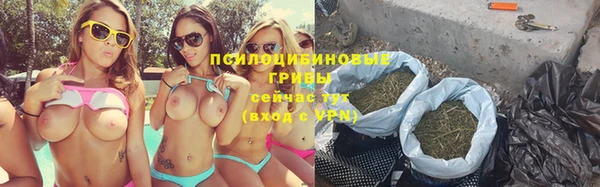 молекула духа Аркадак